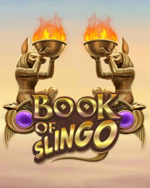 Book of Slingo