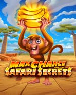 Max Chance and the Safari Secrets