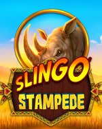 Slingo Stampede