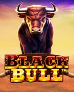 Black Bull