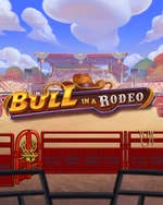 Bull in a Rodeo