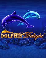 Dolphin Delight