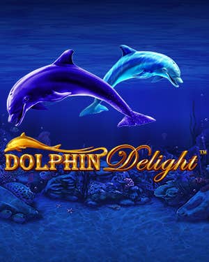 Dolphin Delight