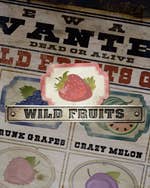 Wild Fruits