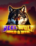 Reel Wolf