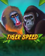 Tiger Speed