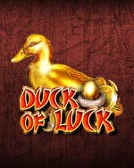 Duck of Luck