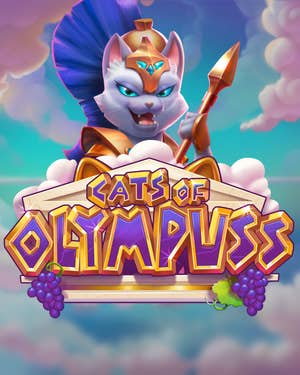 Cats of Olympuss