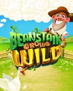 Beanstalk Grows Wild