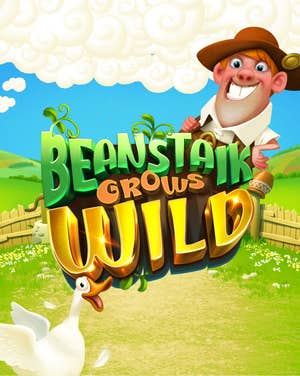 Beanstalk Grows Wild