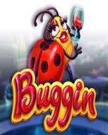 Buggin