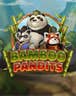 Bamboo Pandits