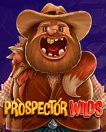 Prospector Wilds