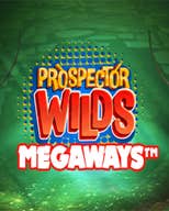 Prospector Wilds Megaways