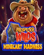 PW Minecart Madness
