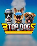 3 Top Dogs