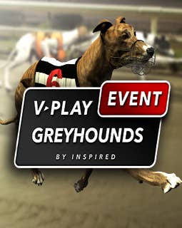 Virtual Sports Greyhounds
