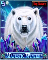 Majestic Winter