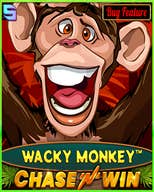 Wacky Monkey - Chase N Win