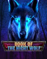 Book Of The Night Wolf