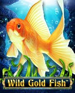 Wild Gold Fish