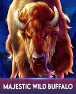 Majestic Wild Buffalo