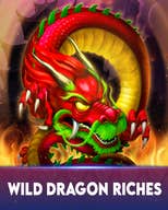 Wild Dragon Riches