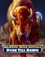 Majestic Wild Buffalo - Dusk Till Dawn