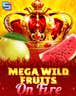 Mega Wild Fruits - On Fire