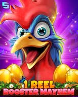 1 Reel - Rooster Mayhem