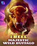 1 Reel - Majestic Wild Buffalo