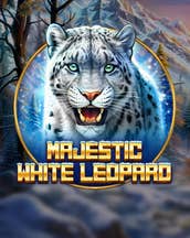 Majestic White Leopard