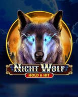 Night Wolf - Hold and Hit