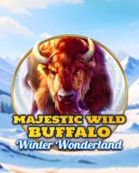 Majestic Wild Buffalo - Winter Wonderland