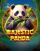 Majestic Panda
