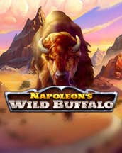 Napoleon's Wild Buffalo