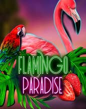 Flamingo Paradise