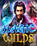 Magic Wilds