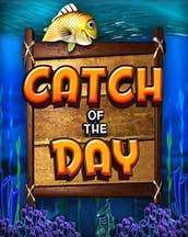 Catch Of The Day
