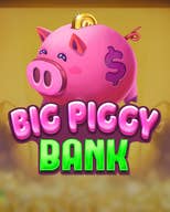 Big Piggy Bank