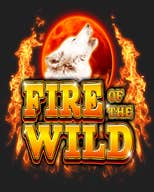 Fire of the Wild