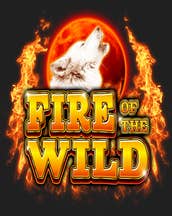 Fire of the Wild