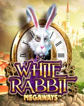 White Rabbit