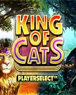 King of Cats