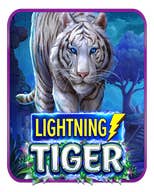 Lightning Tiger