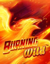 Burning Wild