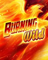 Burning Wild
