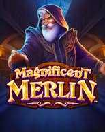 Magnificent Merlin