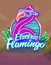 Electric Flamingo