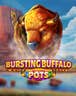 Bursting Buffalo Pots